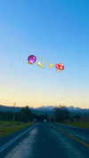 aleiisha.piixiie Altpins Profile Picture