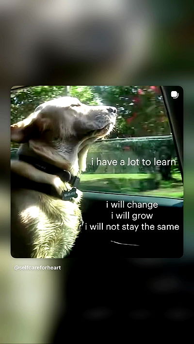 strawberryshanz strawberryshanz archive video