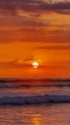 pia__kim Altpins Profile Picture
