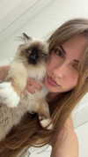 kasumi_sen Altpins Profile Picture