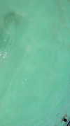 vanessa.rhd Altpins Profile Picture