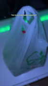 mekhrona_18 Altpins Profile Picture
