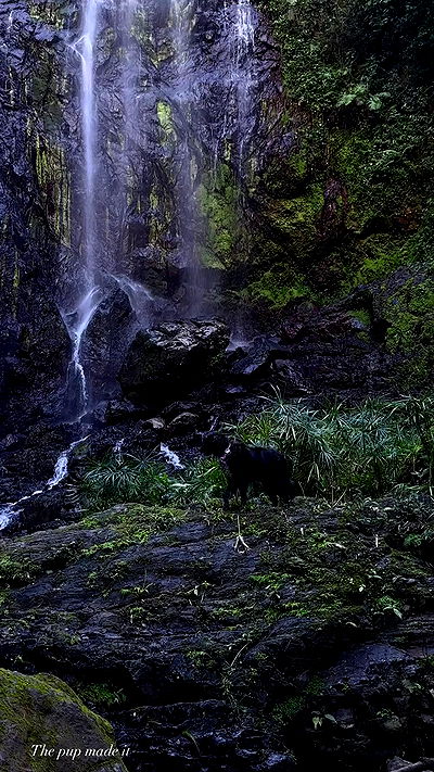 taylor.creeden taylor.creeden archive video