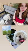 luvstuff3r Altpins Profile Picture