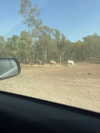 lior_levrun Altpins Profile Picture