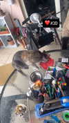 eitan.420 Altpins Profile Picture