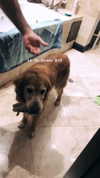 analuvillarreal Altpins Profile Picture