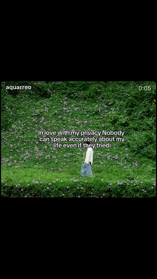 v.qx archive video preview