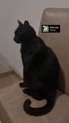 shayli_or Altpins Profile Picture