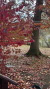 eve__sahar Altpins Profile Picture