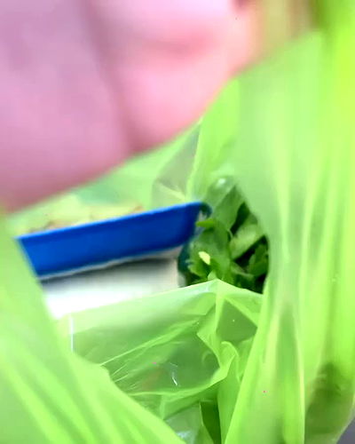 ting851204 ting851204 archive video