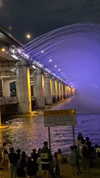 liza_kremer Altpins Profile Picture