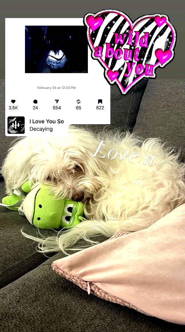 hellokittyangel666 archive video preview