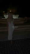 sonia_litvanchuk Altpins Profile Picture