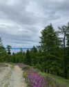 indra0102_ Altpins Profile Picture