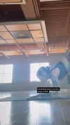taxevasionkoala Altpins Profile Picture
