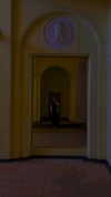 alisen.mari Altpins Profile Picture