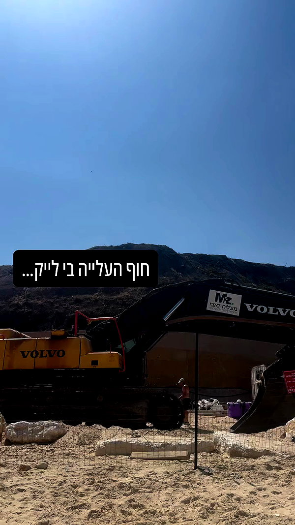 ronyida_ archive video preview