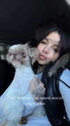 raay.seen Altpins Profile Picture