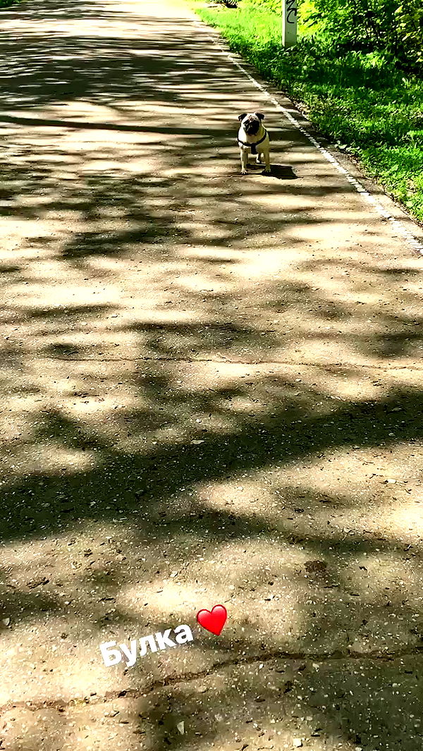 nyityam archive video preview