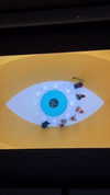 gabydayan Altpins Profile Picture
