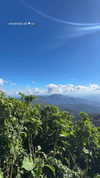 gloriastonelake Altpins Profile Picture
