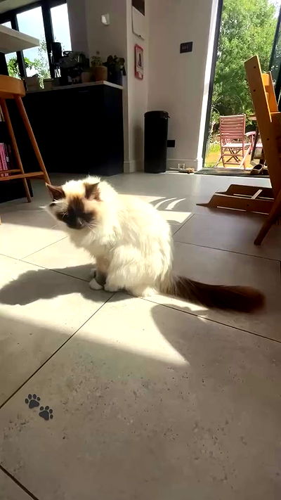 kitty.elliss kitty.elliss archive video