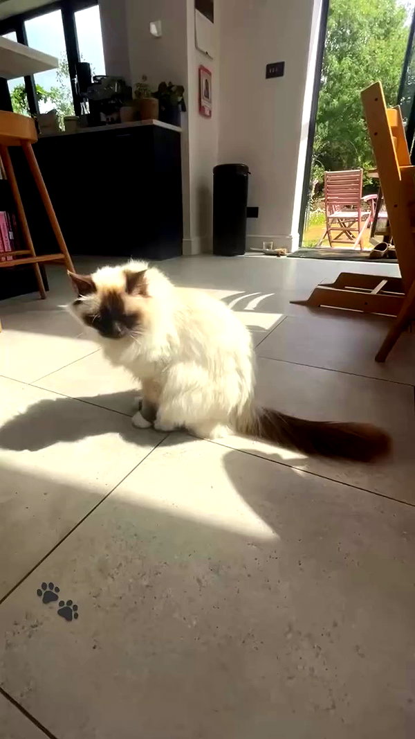 kitty.elliss archive video preview