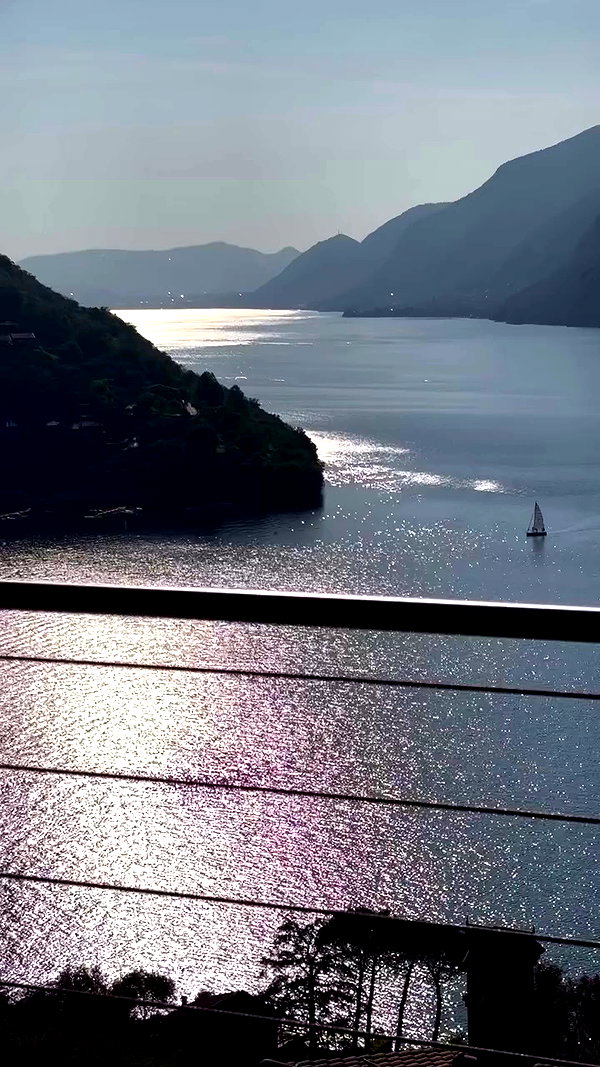 zaini.wiss archive video preview