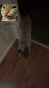 m0rbidlyd3ad Altpins Profile Picture