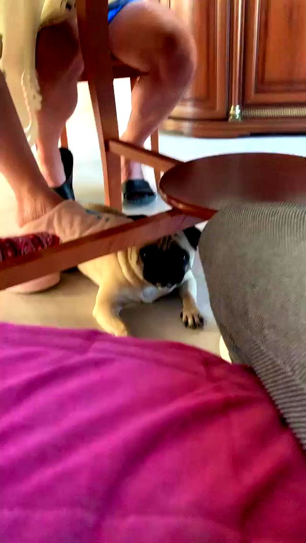 nyityam archive video preview