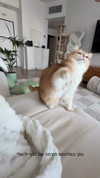 itsilanosh Altpins Profile Picture