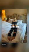 lillbells Altpins Profile Picture