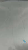 yaarat11 Altpins Profile Picture
