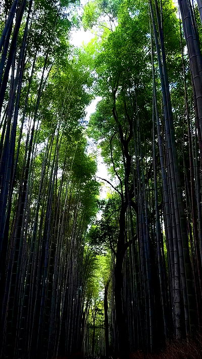 taylor.creeden taylor.creeden archive video