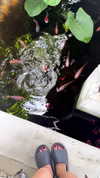 nomagdalina Altpins Profile Picture