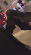 d3ad.doll Altpins Profile Picture