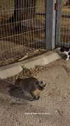 karin_orhov Altpins Profile Picture