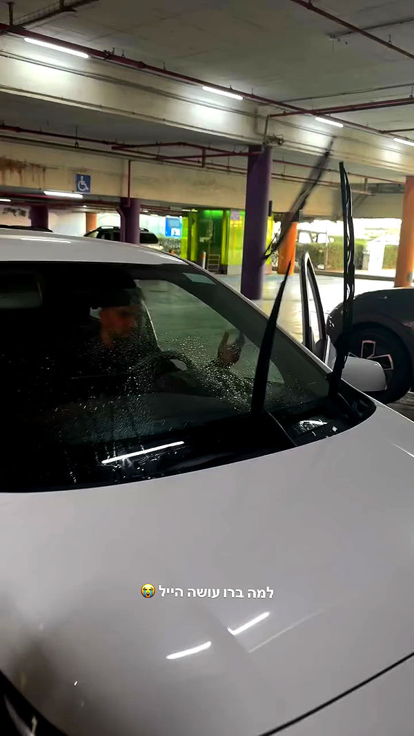 assoolin archive video preview