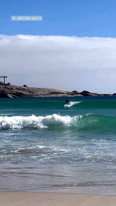 taylor.creeden taylor.creeden archive video