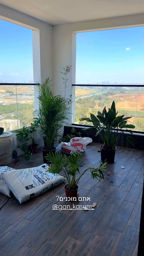 shahar__hauon archive video preview