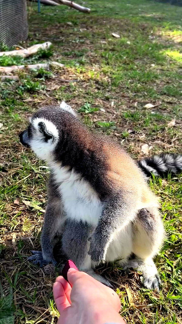 feelbetterinmysweater archive video preview