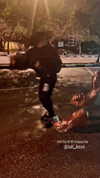 maycohen8 Altpins Profile Picture