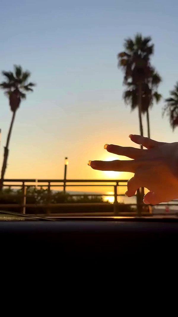 orchidmurmur archive video preview