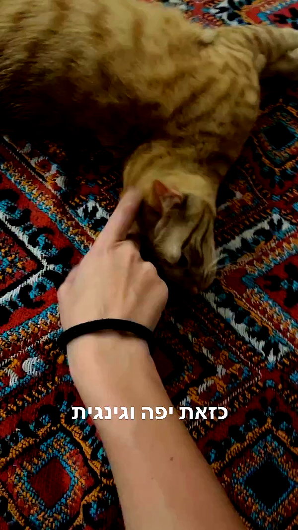 ronyida_ archive video preview