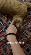 ronyida_ Altpins Profile Picture