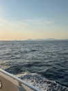 shira_adar_ Altpins Profile Picture