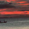 suisadvir Altpins Profile Picture