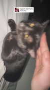 xzot1_met4xx Altpins Profile Picture