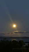 saharakatya Altpins Profile Picture